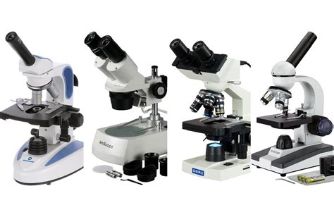 Best microscopes for students 2024 .